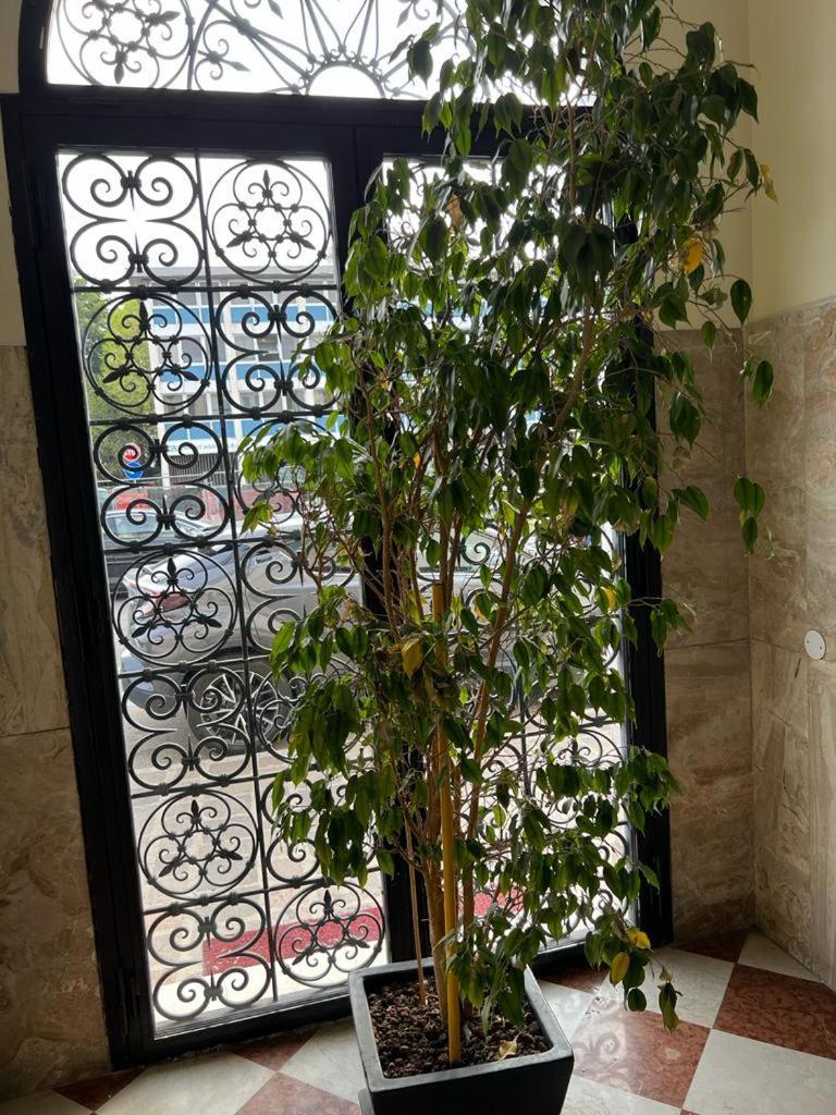 فندق Ca Dei Barcaroli ميستر المظهر الخارجي الصورة